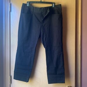 Banana Republic Stretchy pants Size 14P